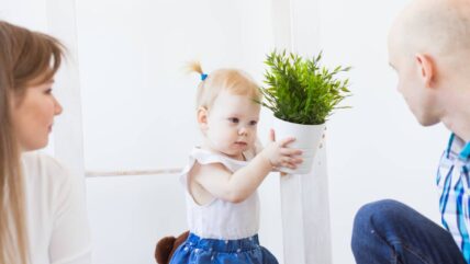 Bebek Yetistirmede Duygusal Bağ