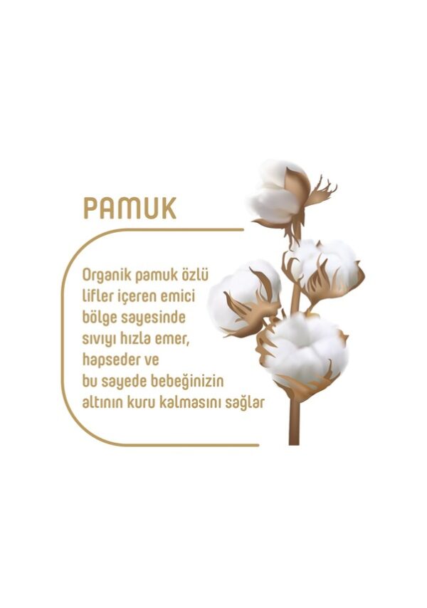 Pure Baby Organik Pamuklu Cırtlı Bez 4'lü Paket 5 Numara Junior 160 Adet